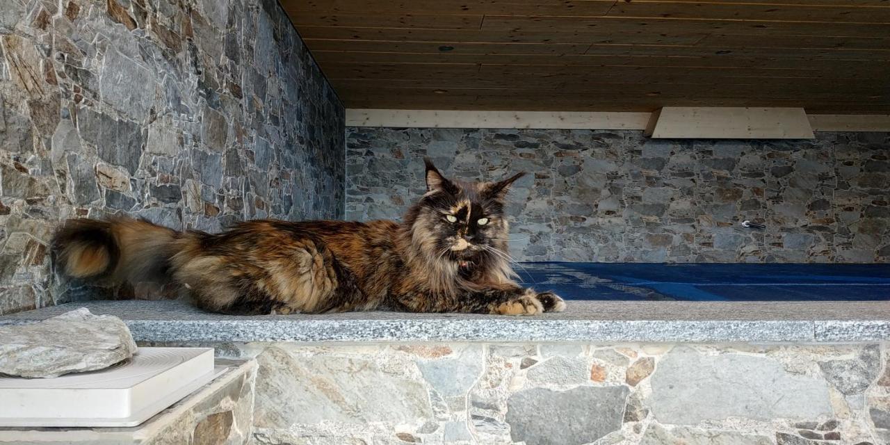 L Ame Et Son Du Coeur Villa Dorenaz Luaran gambar
